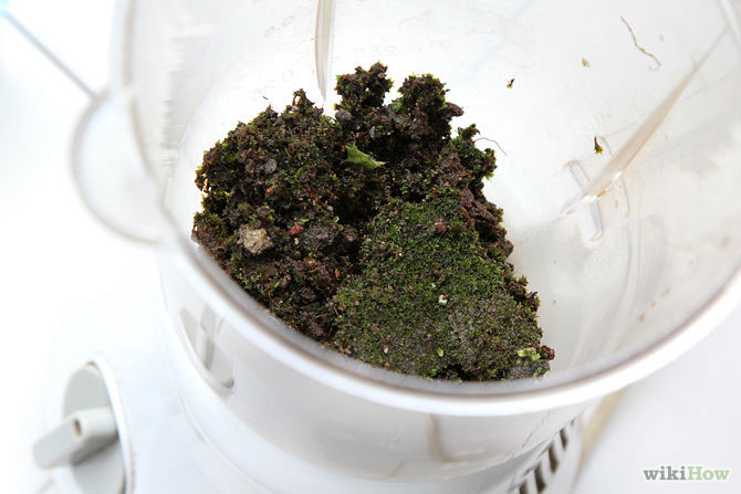 recipient-rempli-mousse