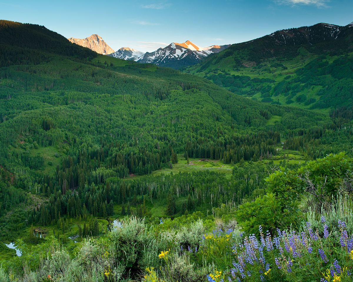 vallee-fleurie-vegetation