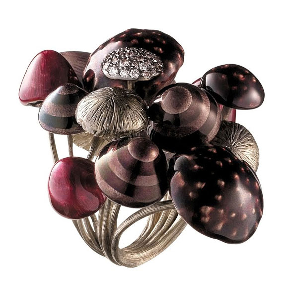 champignons-magiques