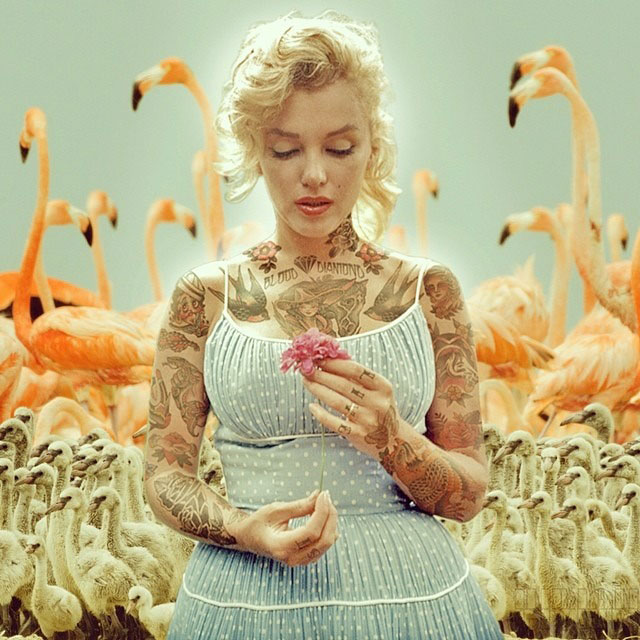 marylin-monroe-pelican-fleurs