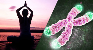 meditation-effet-organisme-une