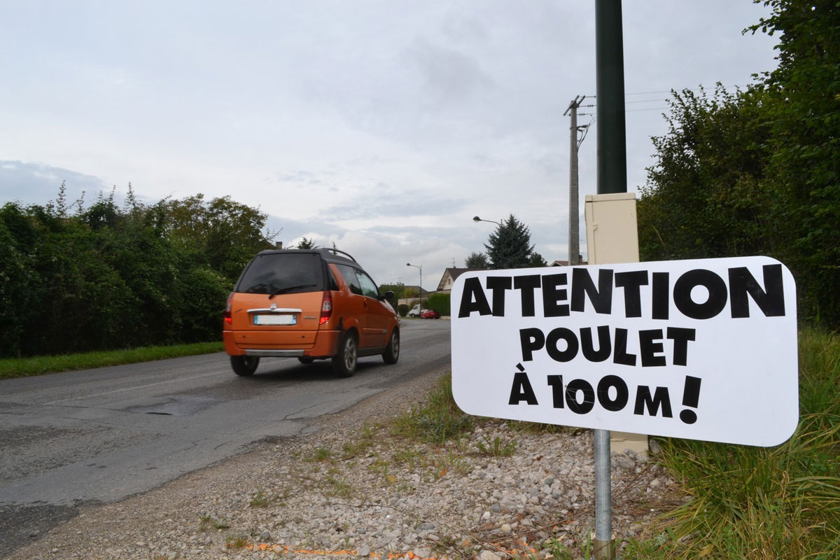 panneau-attention-poulet-a-100-metres