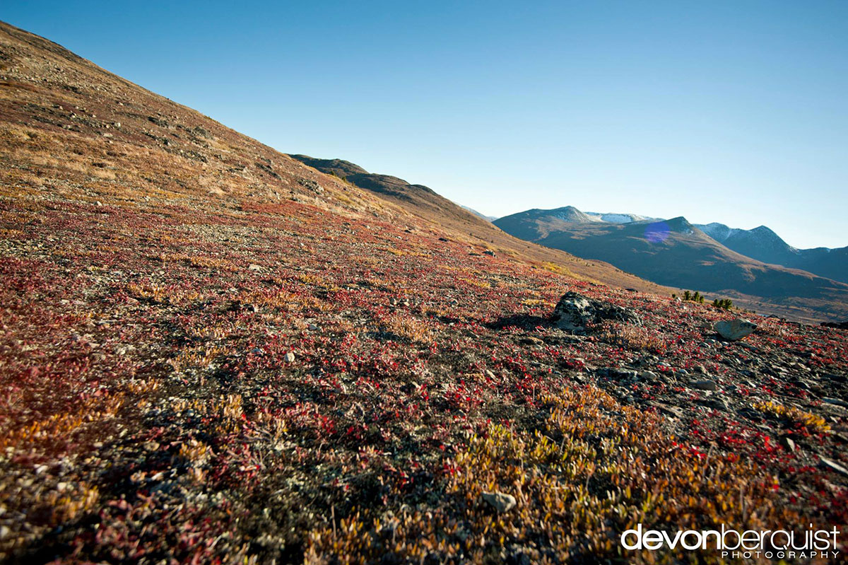 plaine-coloree-canada