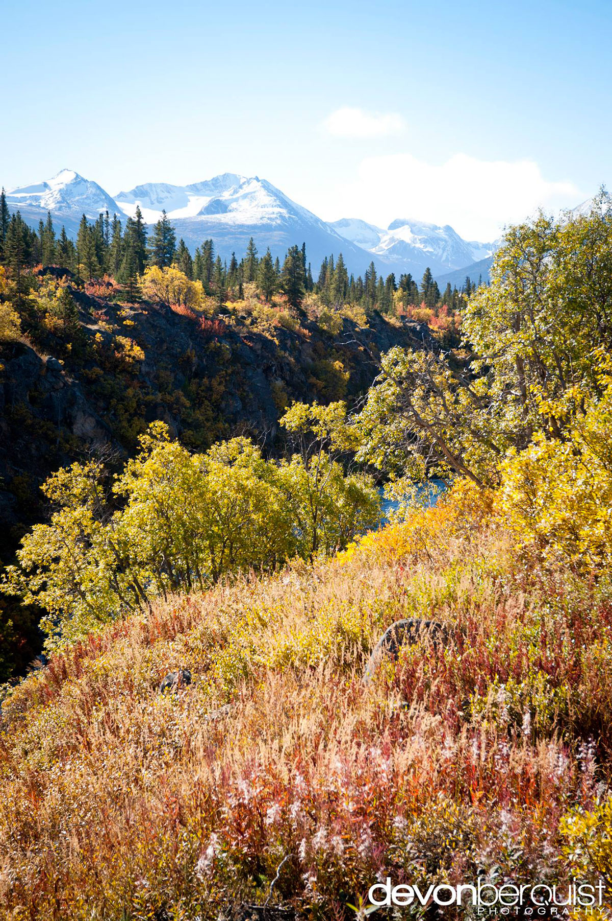vegetation-mulitcolore-canada