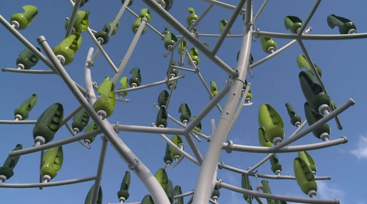 arbre-a-vent-afp-capture-02