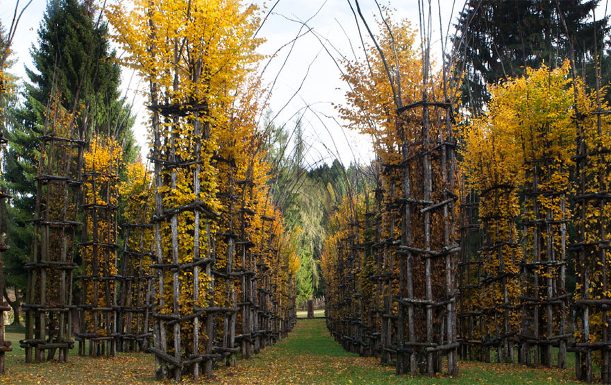 cathedrale-feuille-printemps