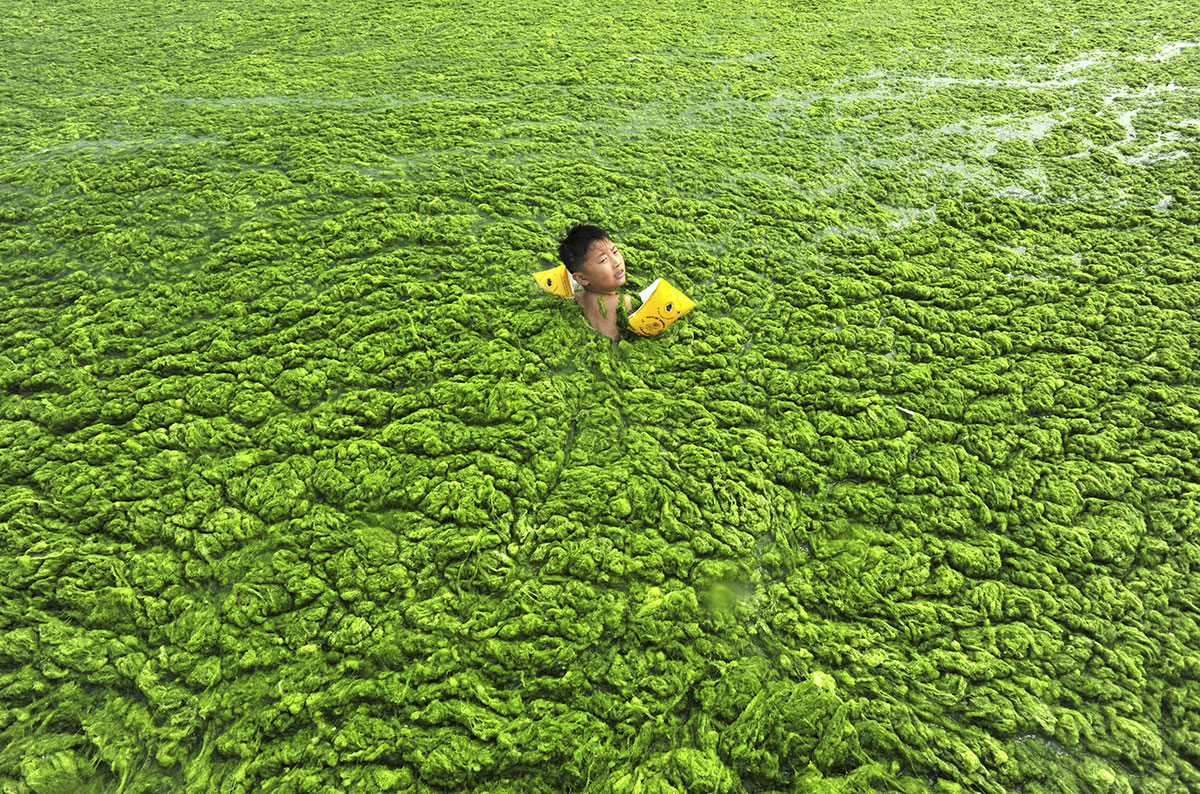 chine-pollution-enfant-algue-verte