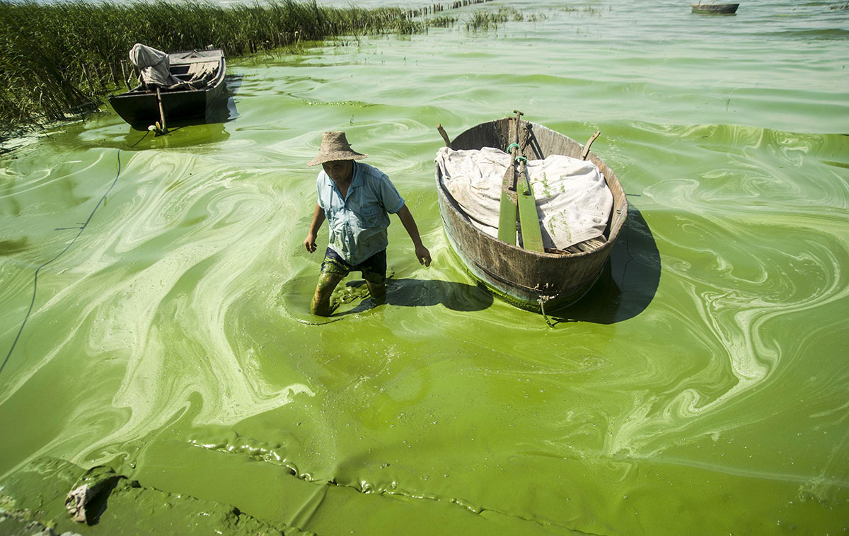 chine-pollution-pecheur-eau-verte
