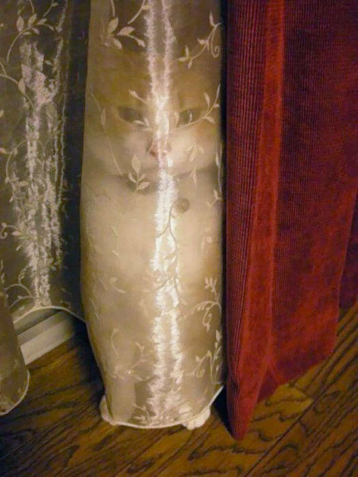 01d813ac7f98616787b29926ebc1461f-1421919993