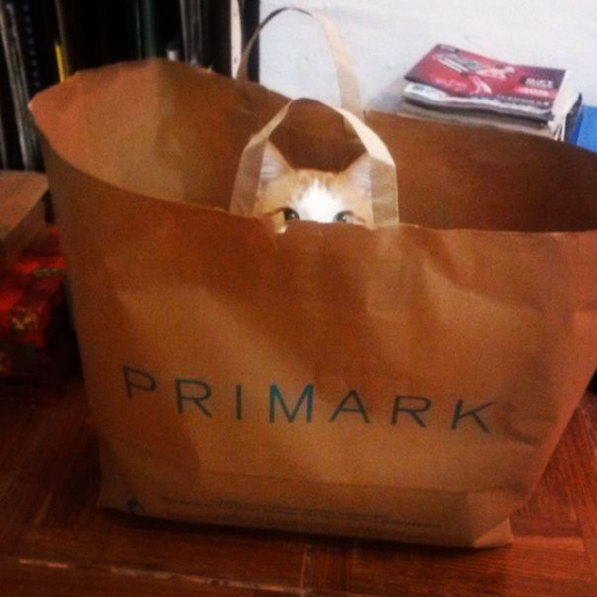 10411329_881748841838157_2177713258109262165_n__605