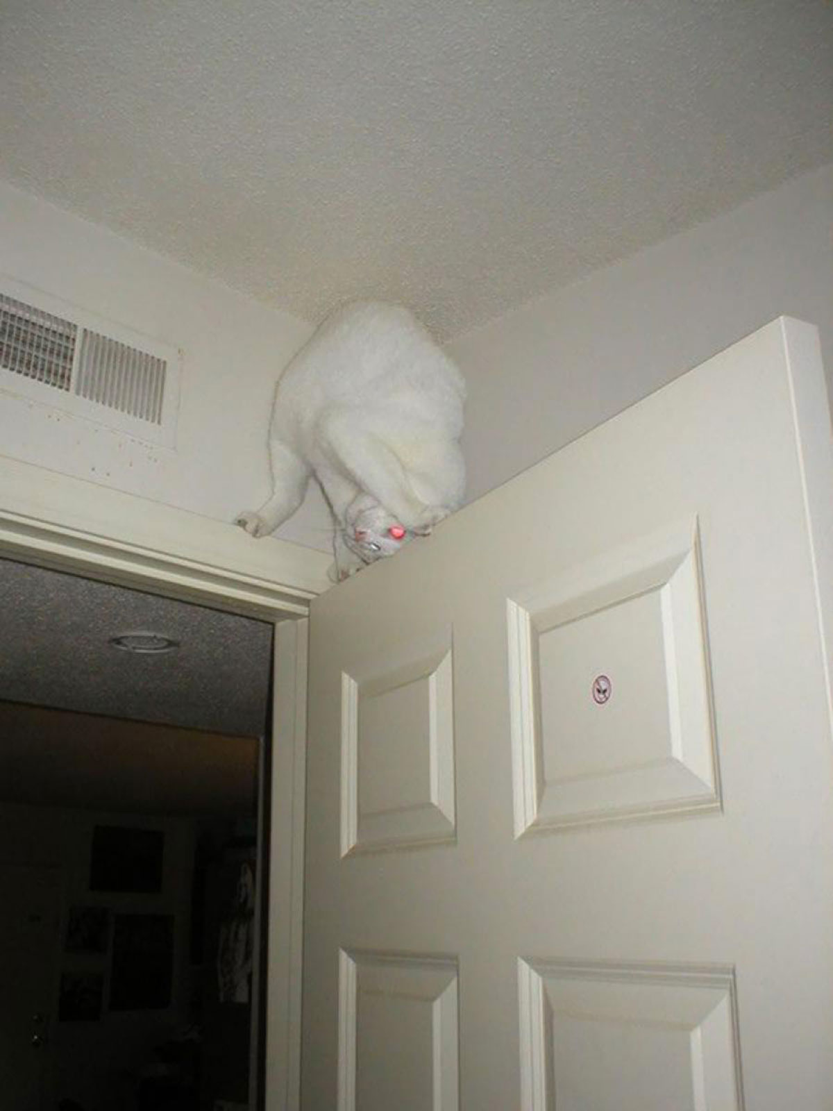 1e64612055e4ee185e7c34b562d51d99-1421919980