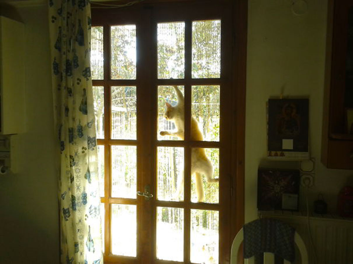 2014-05-22-09.26.371__605