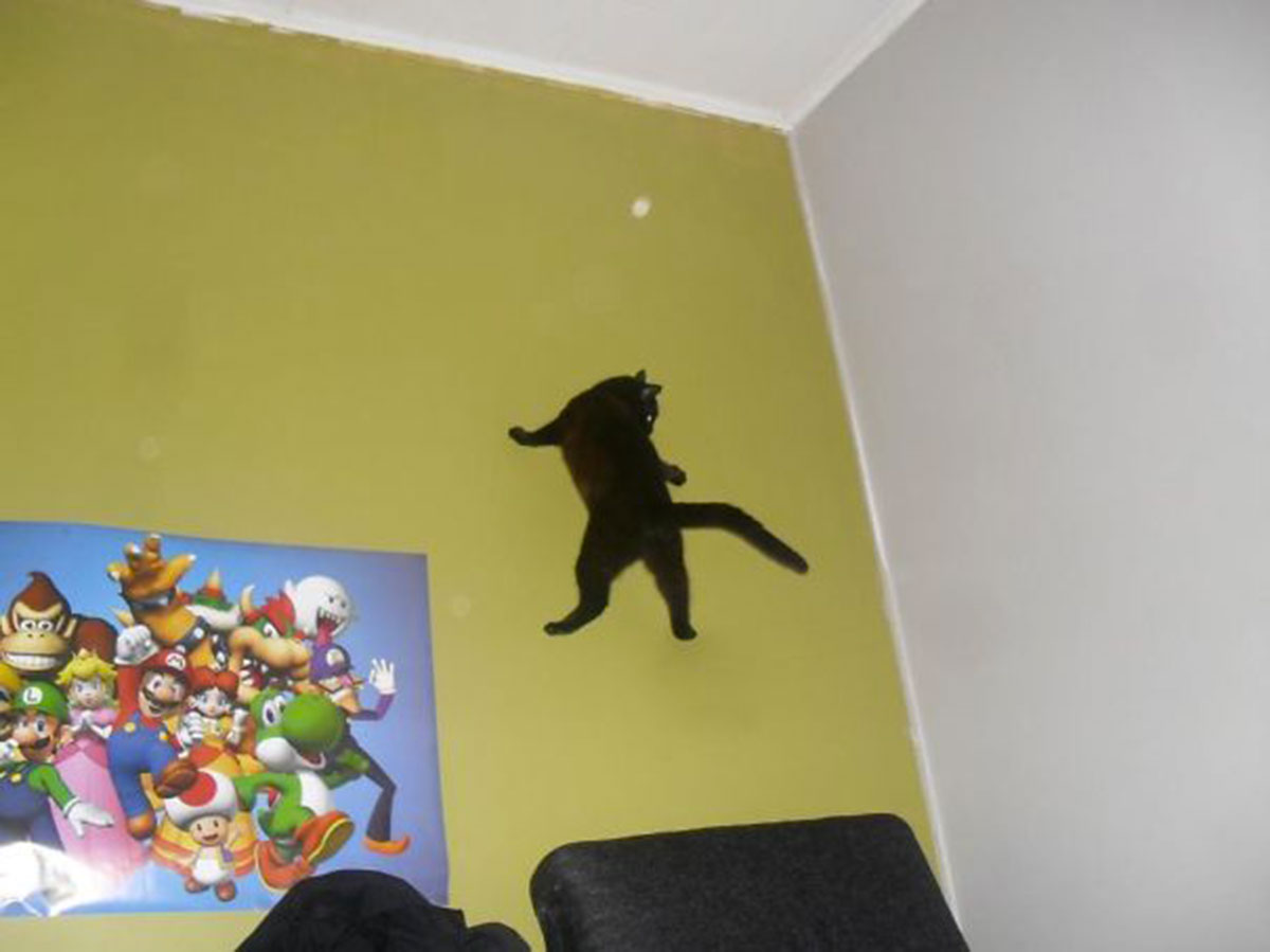 488279_10150998463891191_224690996_n1__605