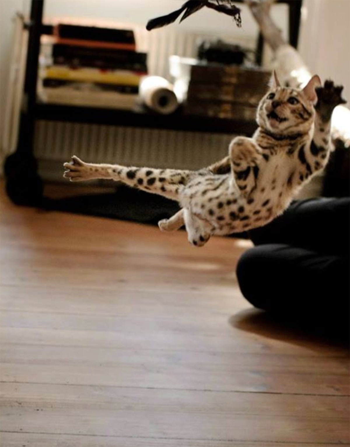 Skærmbillede-2015-01-21-kl.-19.22.20__605