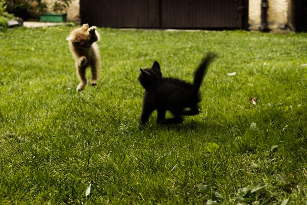 xPD_421751_orig2__605