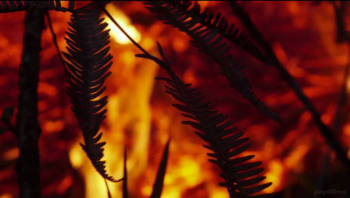 Capture-d’écran-2015-03-20-à-10.38.17