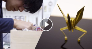 Image-Une-oiseau-danse