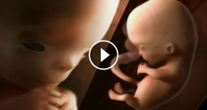 Une-Grossesse-4minutes