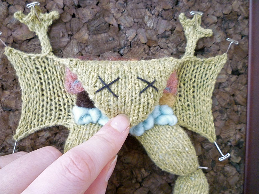 dissection-grenouille-laine-mort