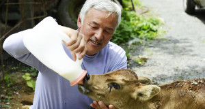 une-animaux-fukushima-4