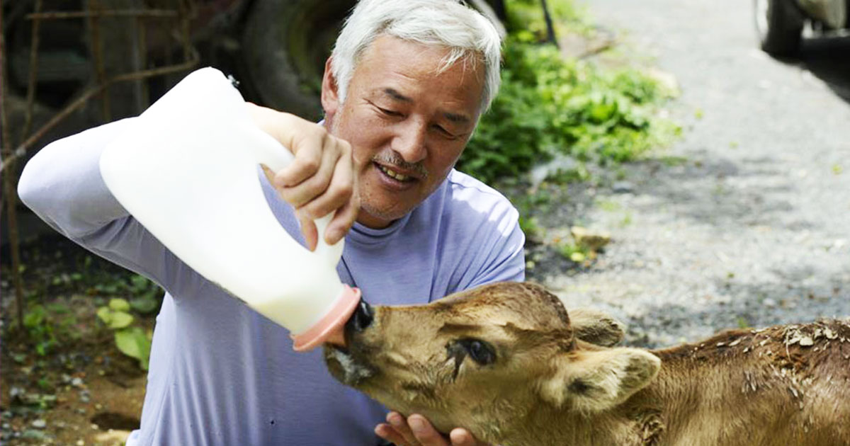 une-animaux-fukushima-4