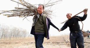 une-chinois-handicape-plantation