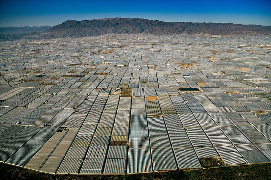 serres-champ-paysage