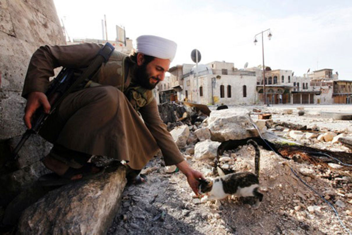 soldat-avec-petit-chat