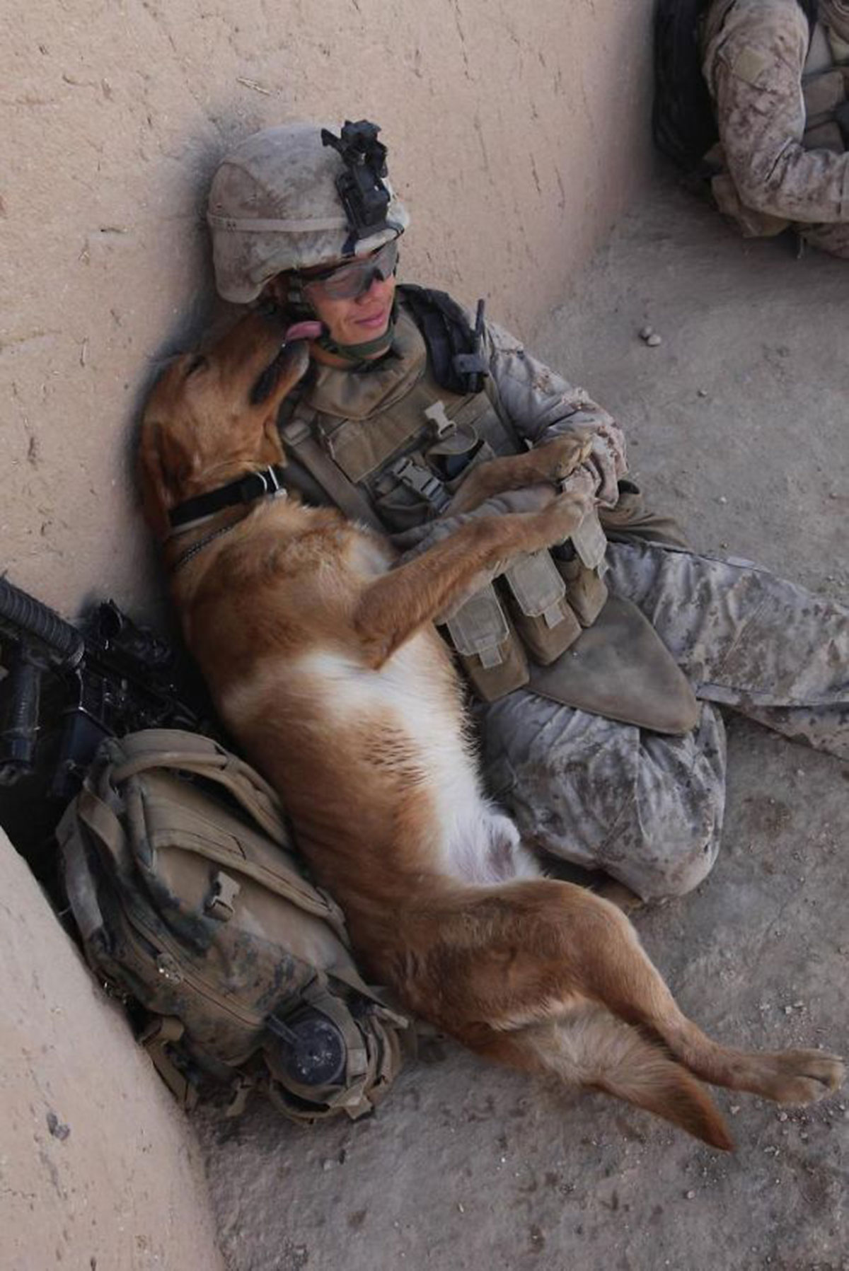 soldat-avec-son-chien