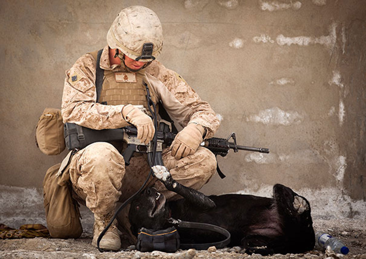 soldier-with-a-dog