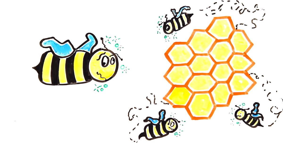 video-abeilles-dessin-ruche
