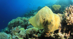 Une-vie-mer-plastique