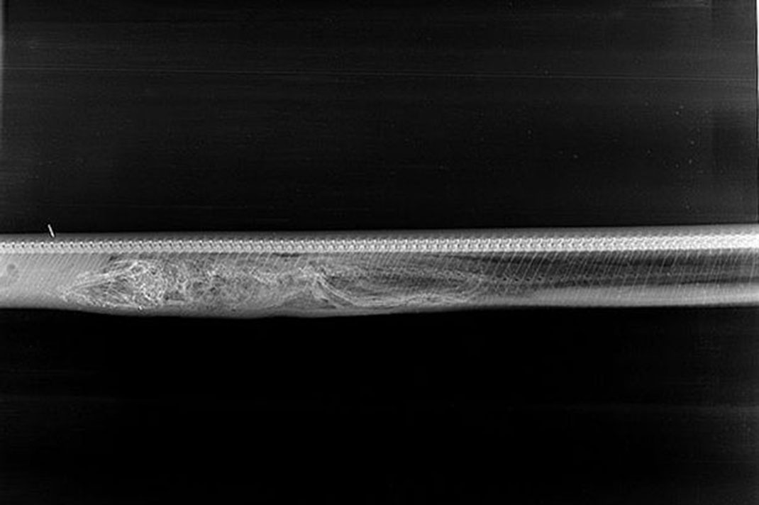 digestion-python-alligator-jour-3