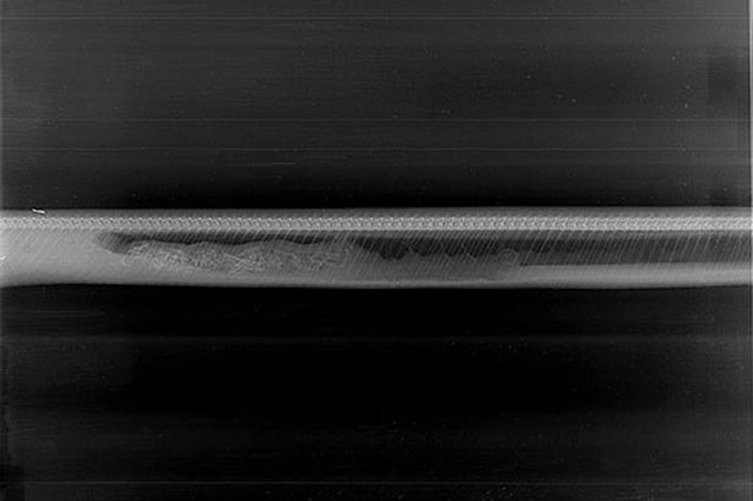 digestion-python-alligator-jour-5