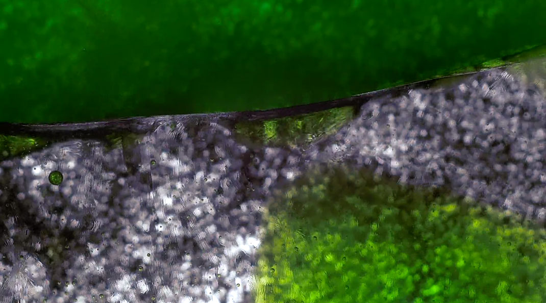 macro-cinema-film-13