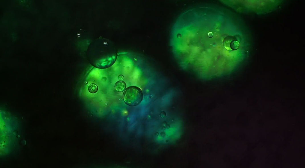 macro-cinema-film-14