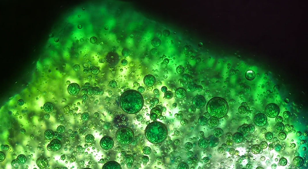 macro-cinema-film-15