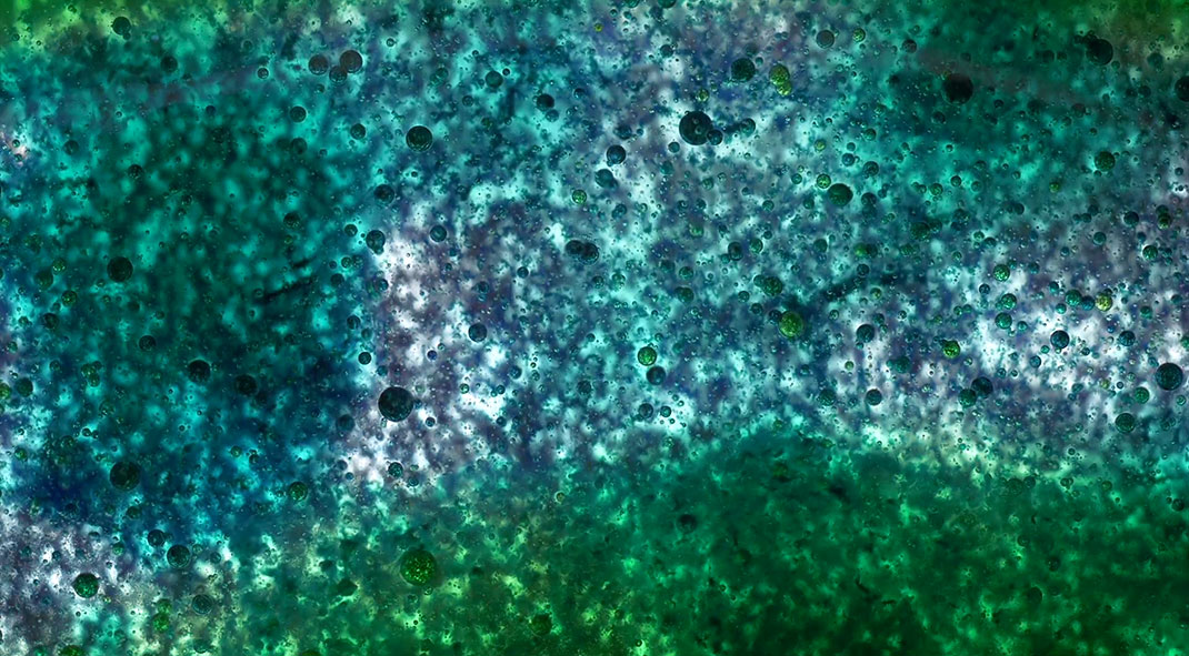 macro-cinema-film-18