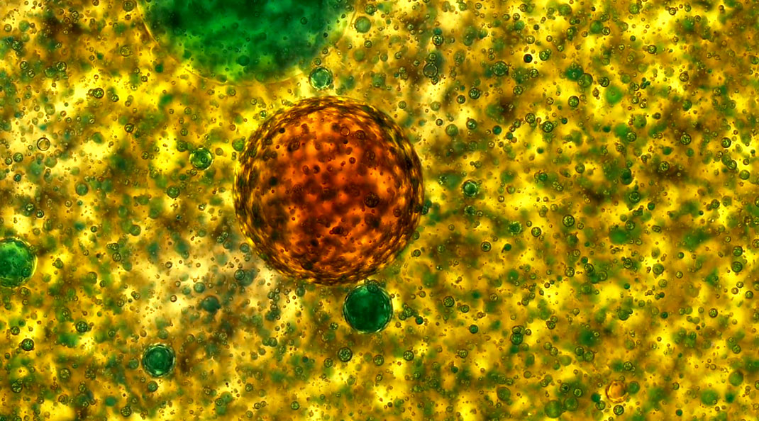 macro-cinema-film-20