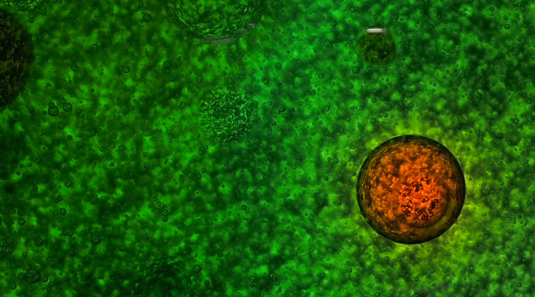 macro-cinema-film-22