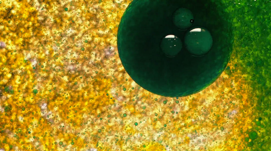 macro-cinema-film-25