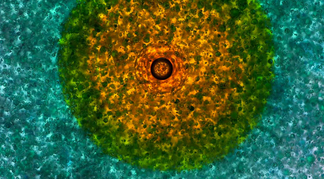 macro-cinema-film-26