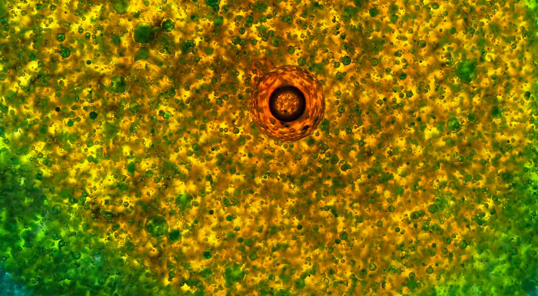 macro-cinema-film-27