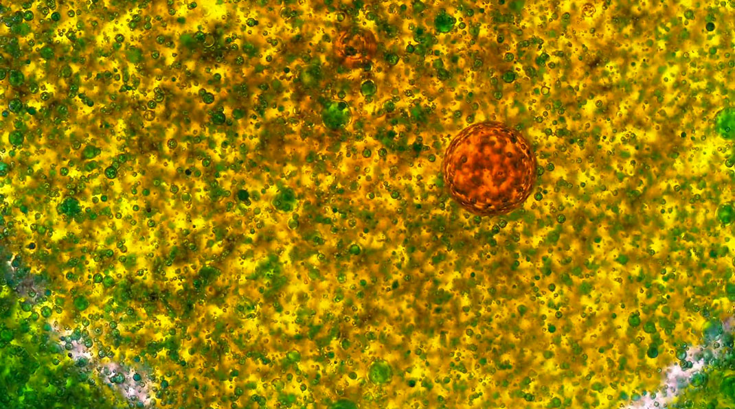 macro-cinema-film-28