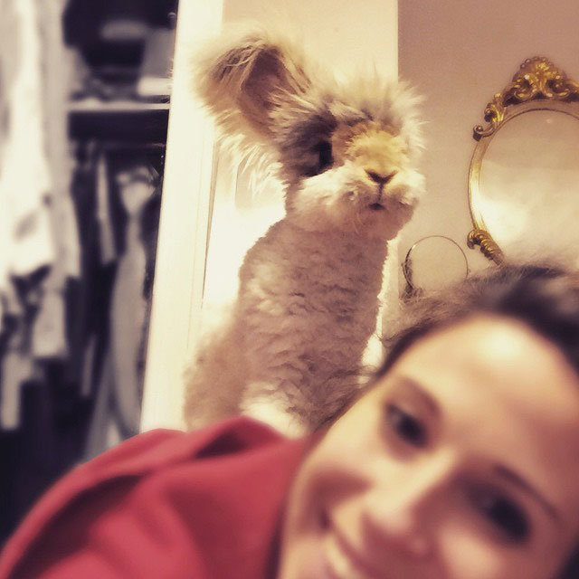 18-lapin-oreille-etrange