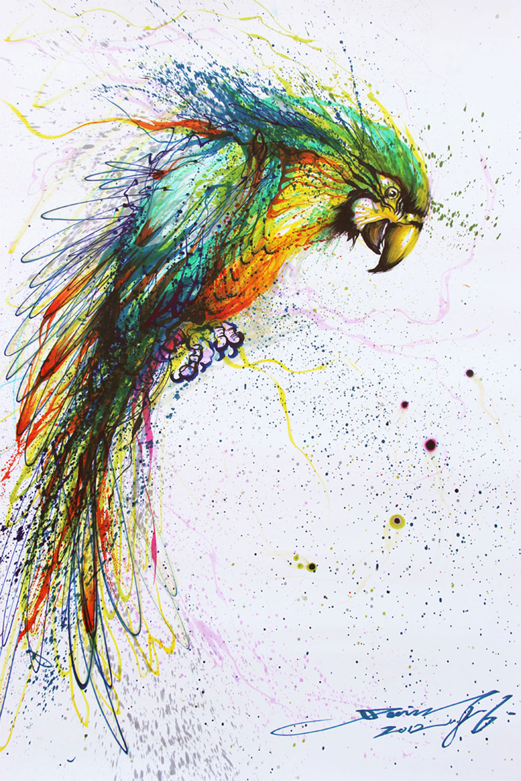 Color-Parrot-