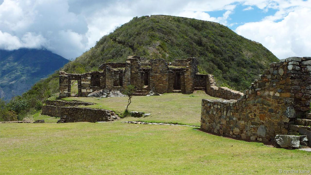 cite-perdue-perou-herbe
