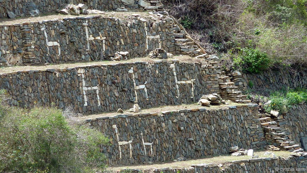 cite-perdue-perou-lama