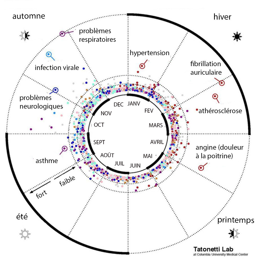 mois-naissance-sante-1