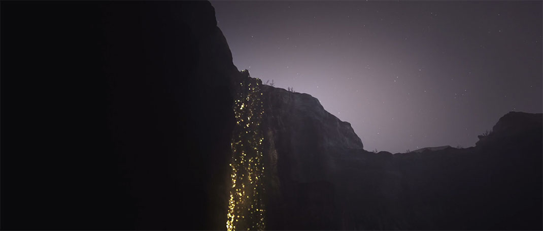 nature-sauvage-lumiere